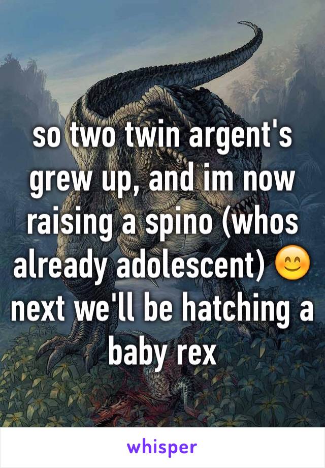 so two twin argent's grew up, and im now raising a spino (whos already adolescent) 😊
next we'll be hatching a baby rex