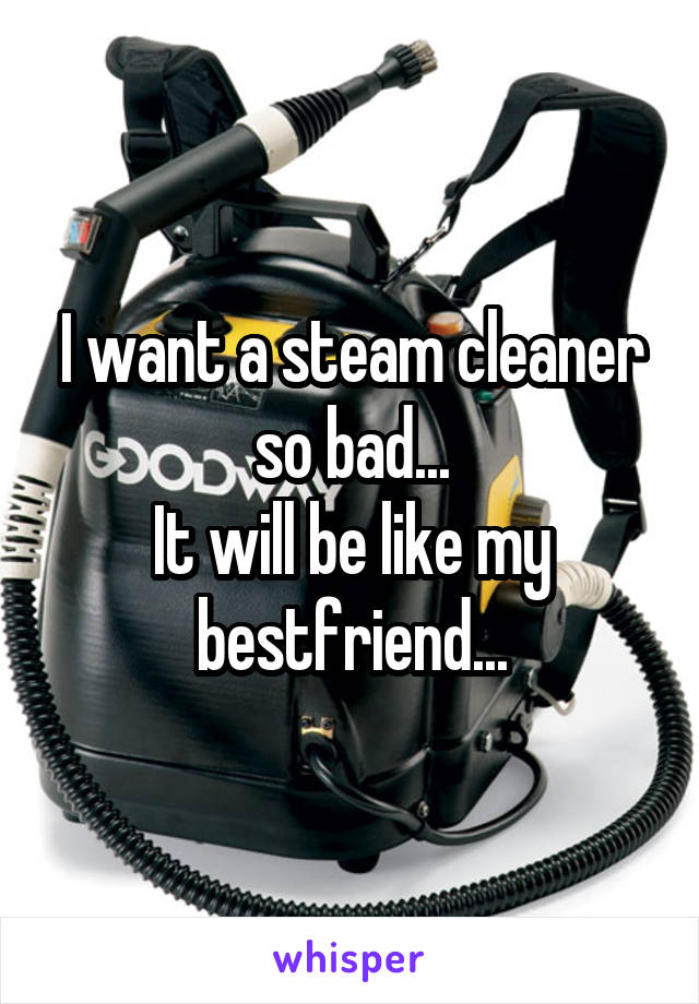 I want a steam cleaner so bad...
It will be like my bestfriend...