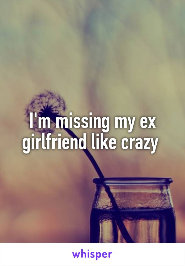 I'm missing my ex girlfriend like crazy 