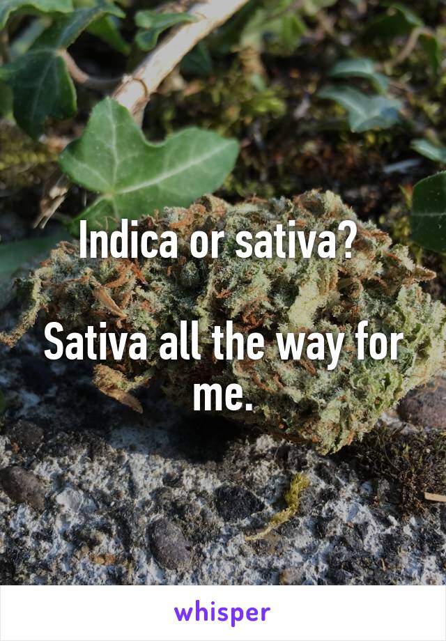 Indica or sativa? 

Sativa all the way for me.
