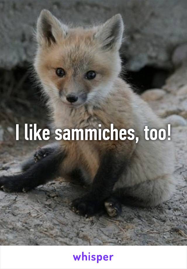I like sammiches, too!