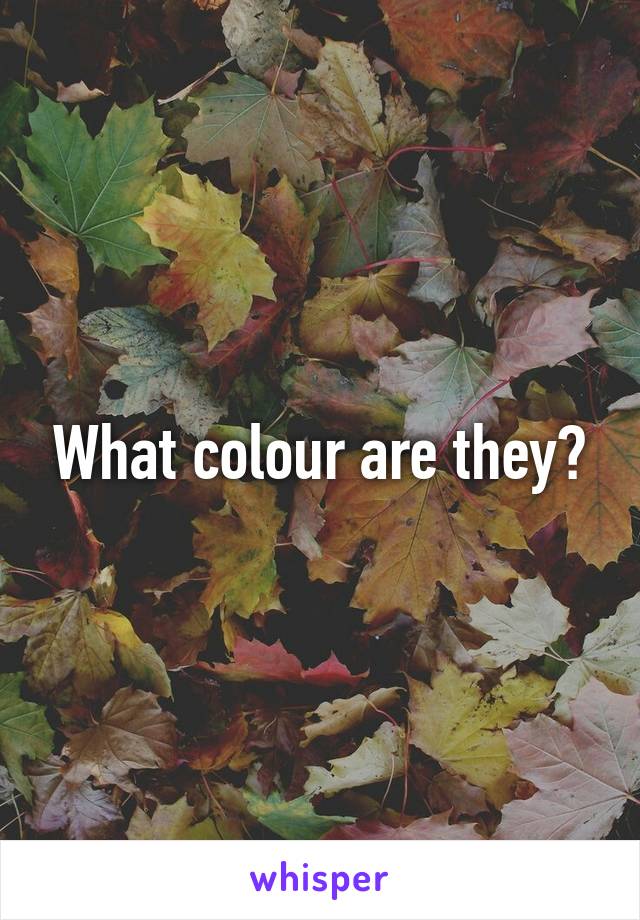 What colour are they?