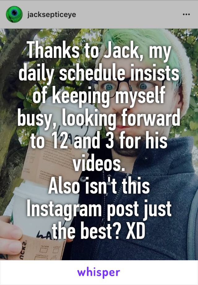 Thanks to Jack, my daily schedule insists of keeping myself busy, looking forward to 12 and 3 for his videos.
Also isn't this Instagram post just the best? XD