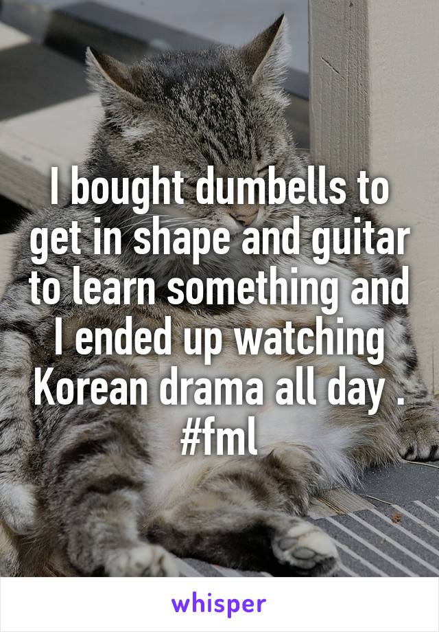 I bought dumbells to get in shape and guitar to learn something and I ended up watching Korean drama all day .
#fml