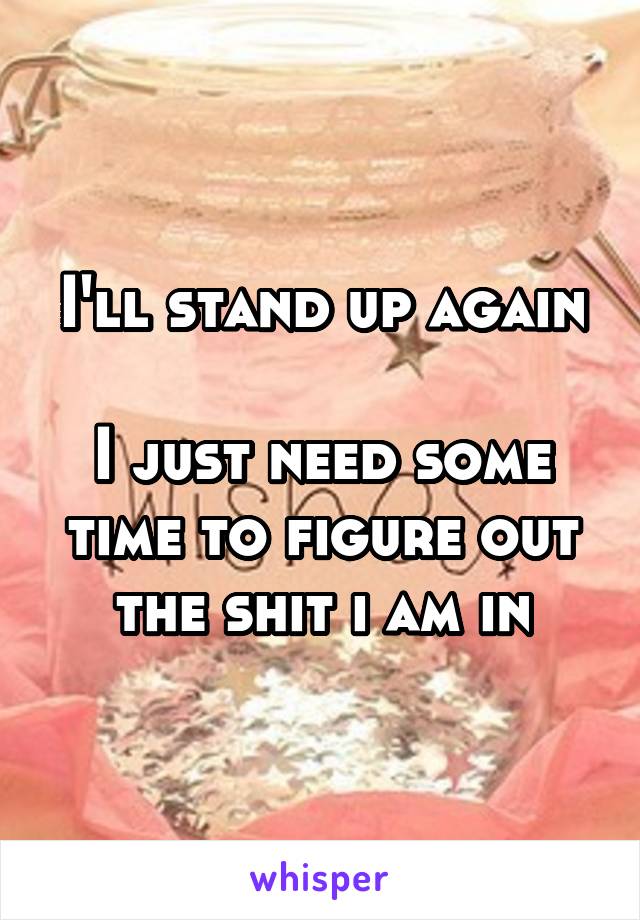 I'll stand up again

I just need some time to figure out the shit i am in