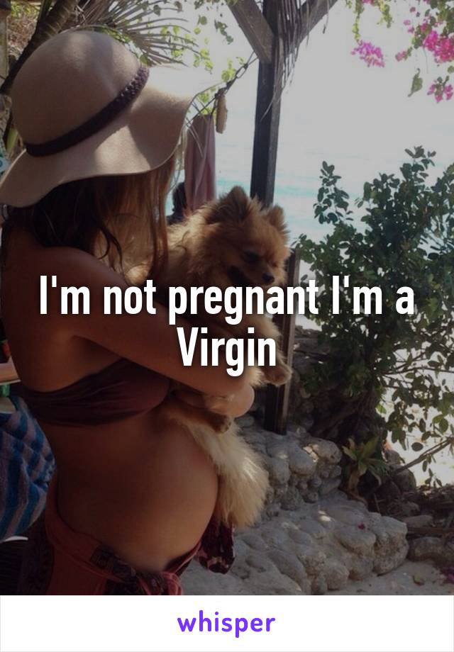 I'm not pregnant I'm a Virgin
