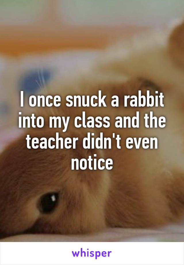 I once snuck a rabbit into my class and the teacher didn't even notice