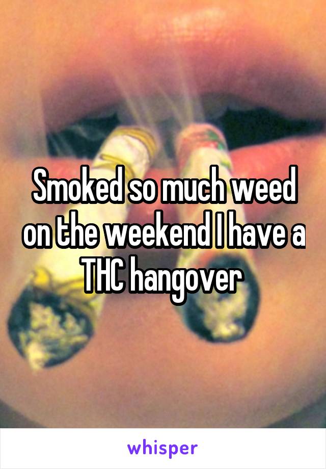 Smoked so much weed on the weekend I have a THC hangover 