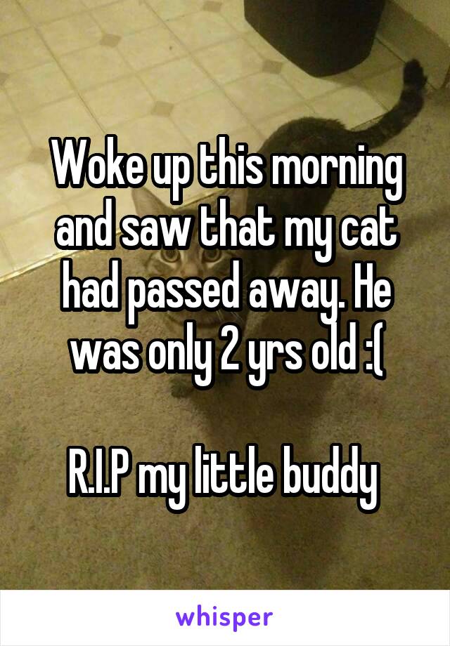 Woke up this morning and saw that my cat had passed away. He was only 2 yrs old :(

R.I.P my little buddy 