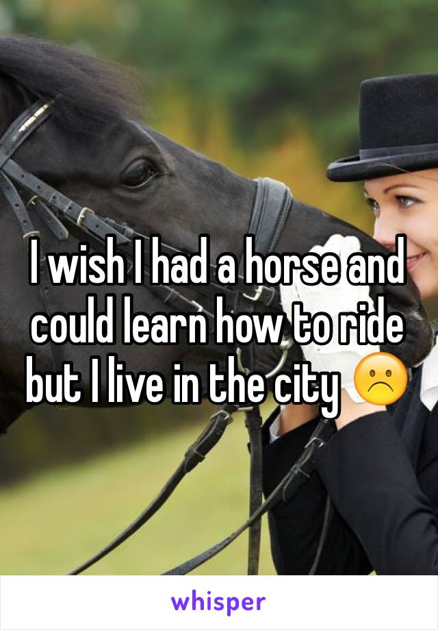 I wish I had a horse and could learn how to ride but I live in the city ☹️