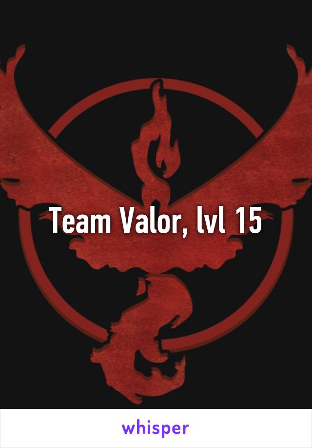 Team Valor, lvl 15