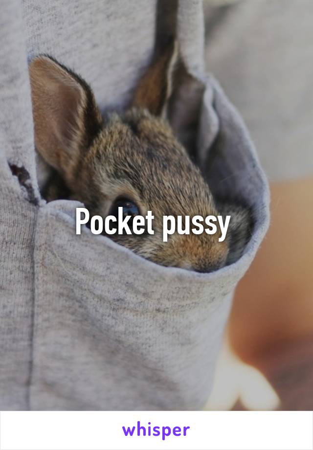 Pocket pussy 