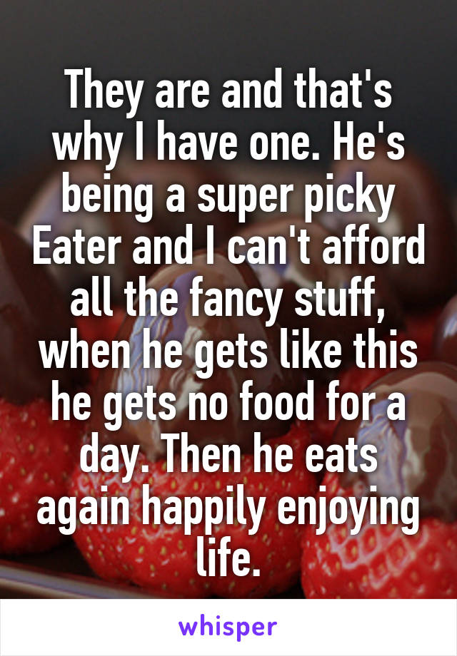 They are and that's why I have one. He's being a super picky Eater and I can't afford all the fancy stuff, when he gets like this he gets no food for a day. Then he eats again happily enjoying life.