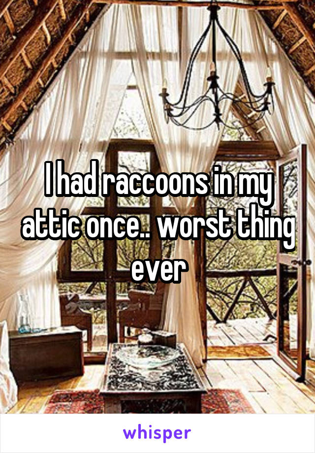 I had raccoons in my attic once.. worst thing ever