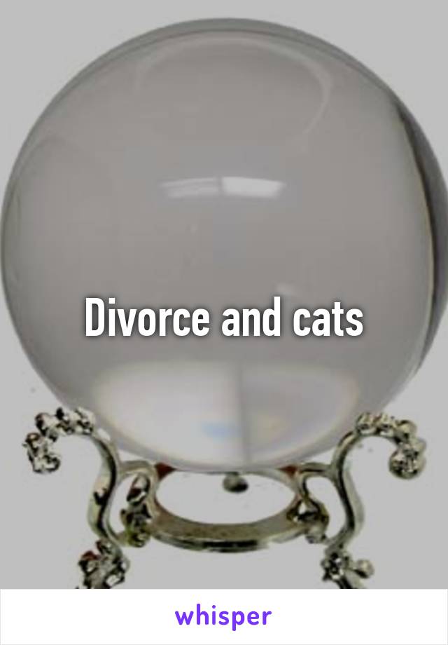Divorce and cats