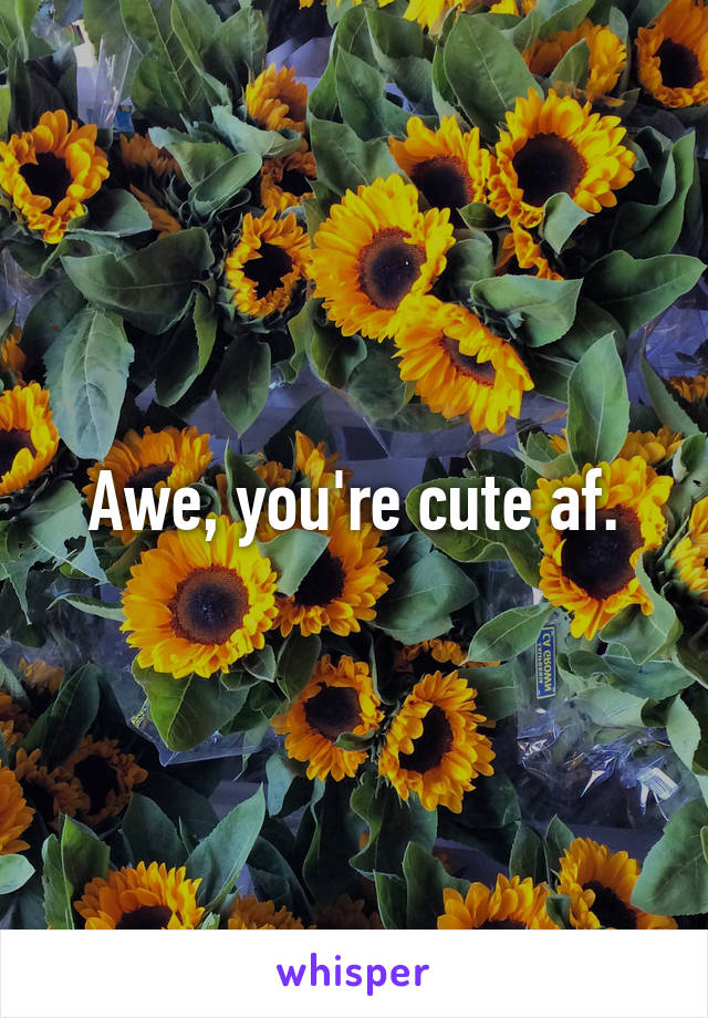 Awe, you're cute af.