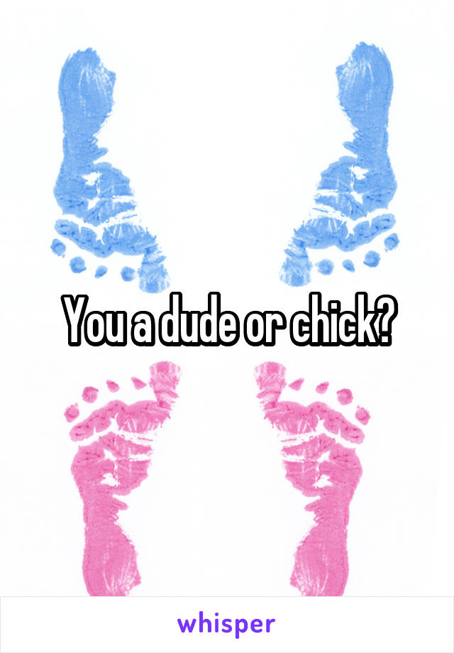 You a dude or chick?