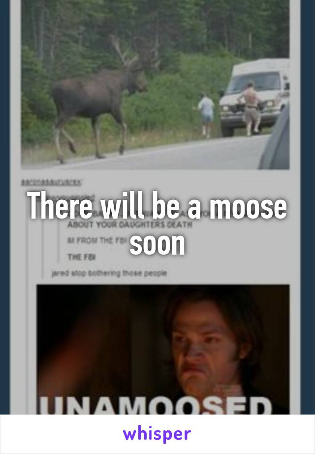 There will be a moose soon