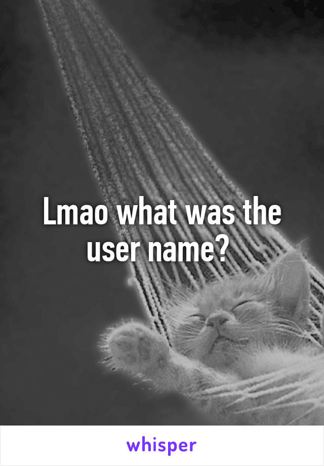 Lmao what was the user name? 