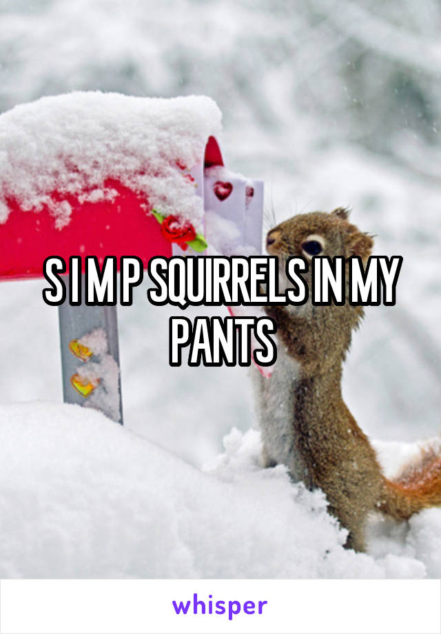 S I M P SQUIRRELS IN MY PANTS