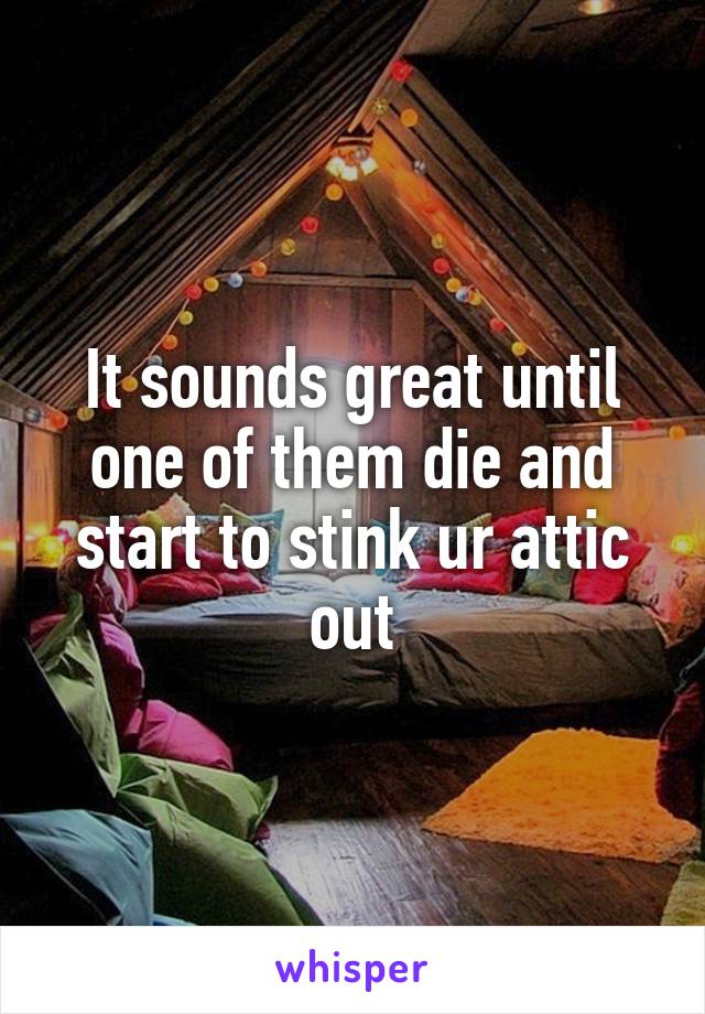 It sounds great until one of them die and start to stink ur attic out