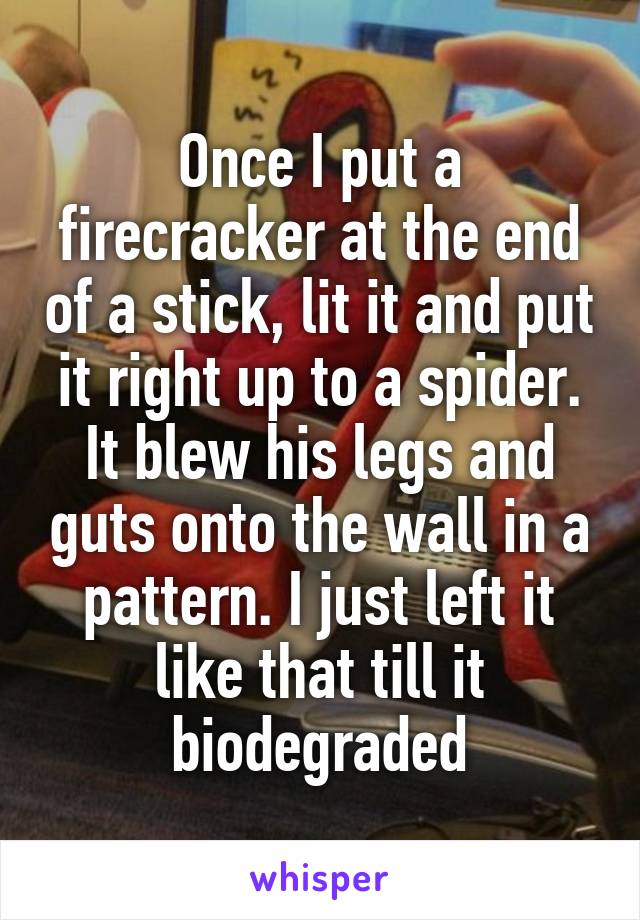 Once I put a firecracker at the end of a stick, lit it and put it right up to a spider. It blew his legs and guts onto the wall in a pattern. I just left it like that till it biodegraded