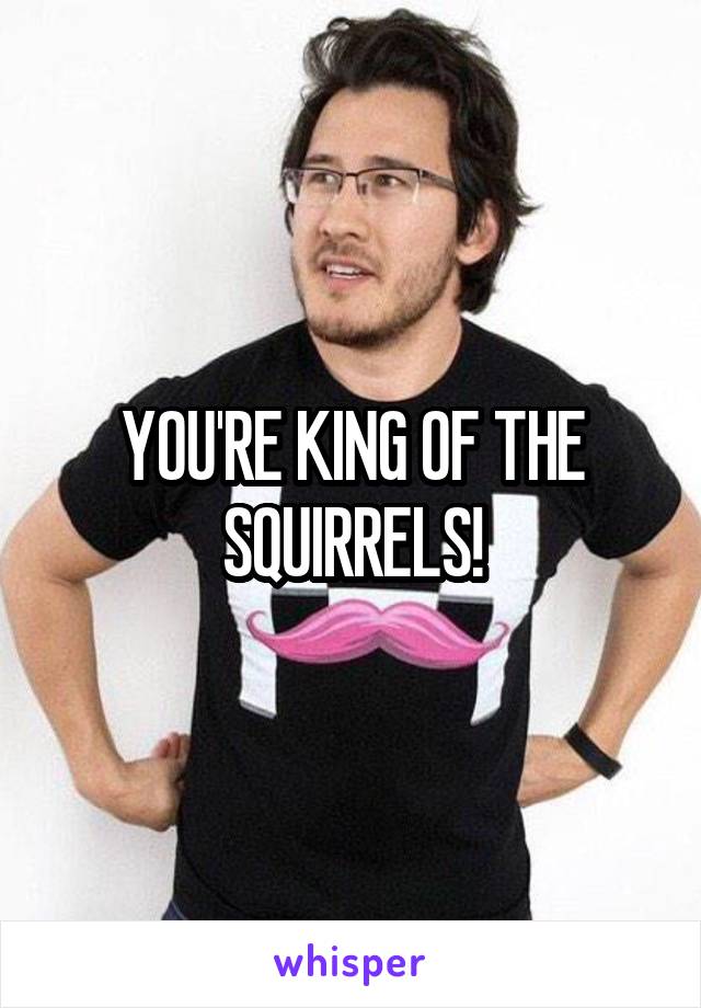 YOU'RE KING OF THE SQUIRRELS!