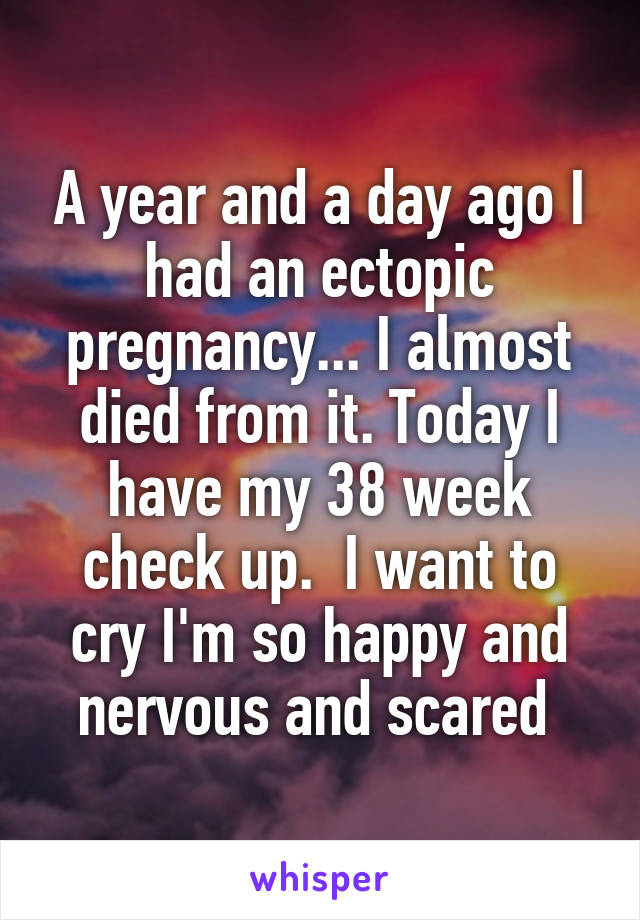 A year and a day ago I had an ectopic pregnancy... I almost died from it. Today I have my 38 week check up.  I want to cry I'm so happy and nervous and scared 