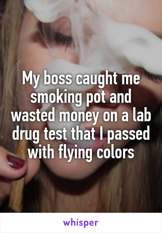 My boss caught me smoking pot and wasted money on a lab drug test that I passed with flying colors