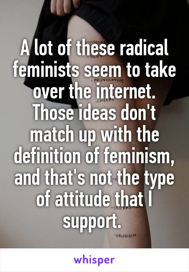 A lot of these radical feminists seem to take over the internet. Those ideas don't match up with the definition of feminism, and that's not the type of attitude that I support. 
