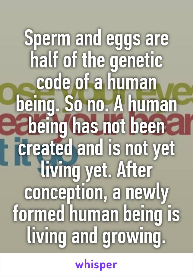 Sperm and eggs are half of the genetic code of a human being. So no. A human being has not been created and is not yet living yet. After conception, a newly formed human being is living and growing.