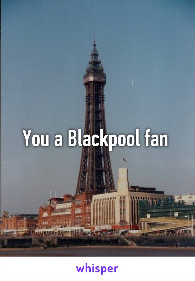 You a Blackpool fan 