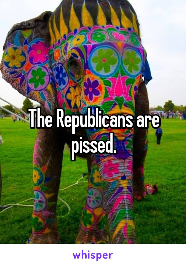 The Republicans are pissed.