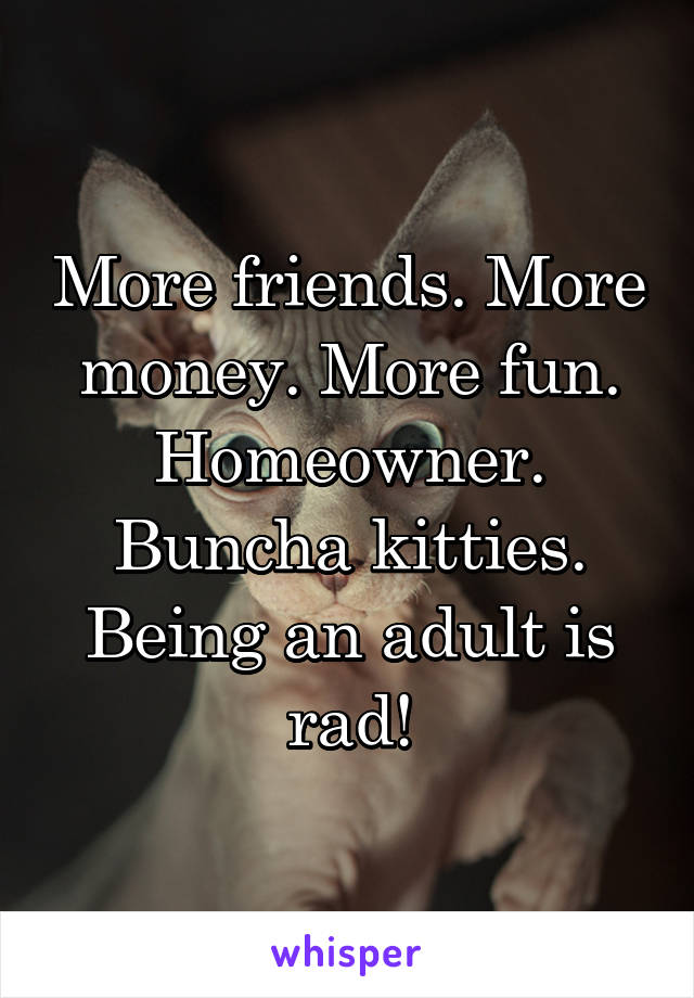 More friends. More money. More fun. Homeowner. Buncha kitties. Being an adult is rad!