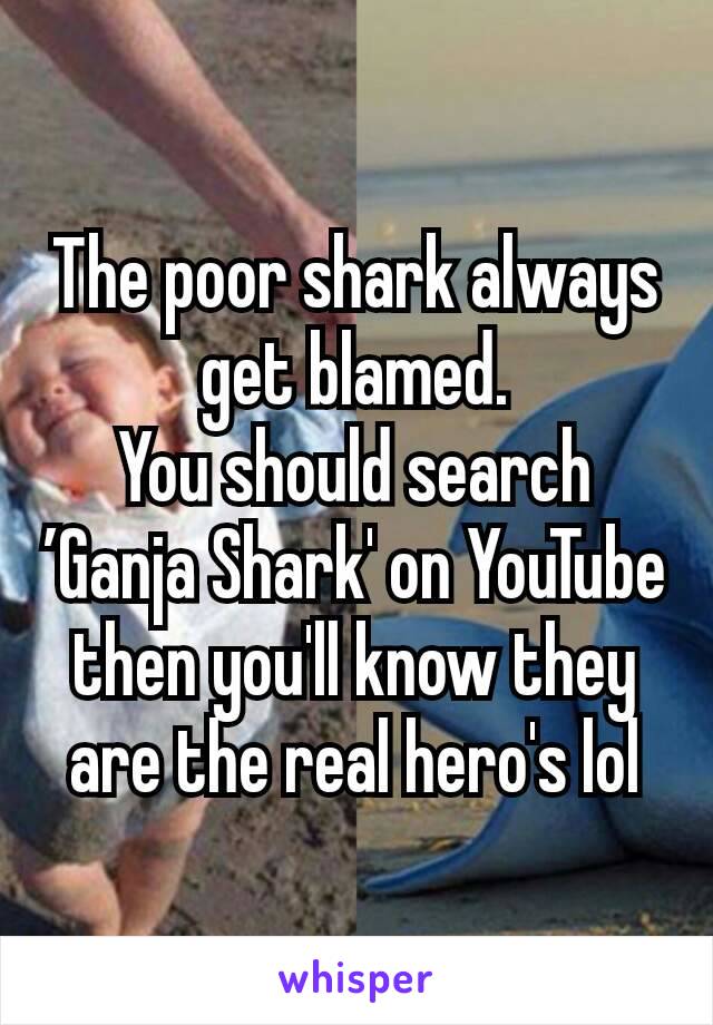 The poor shark always get blamed.
You should search ’Ganja Shark' on YouTube then you'll know they are the real hero's lol