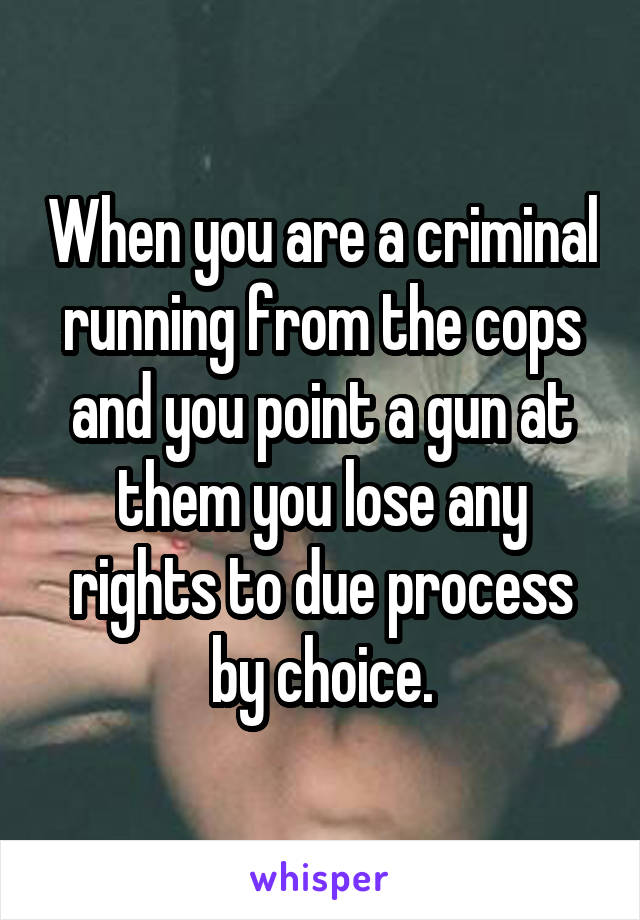When you are a criminal running from the cops and you point a gun at them you lose any rights to due process by choice.