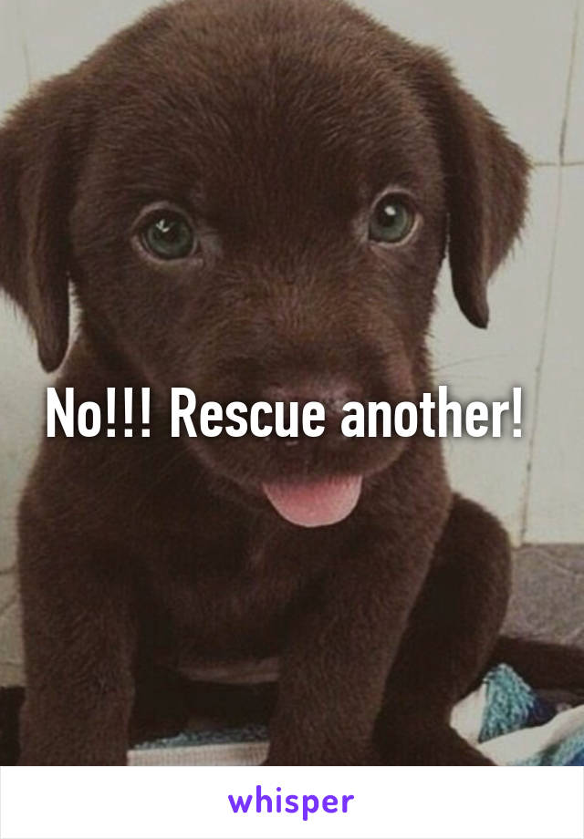 No!!! Rescue another! 