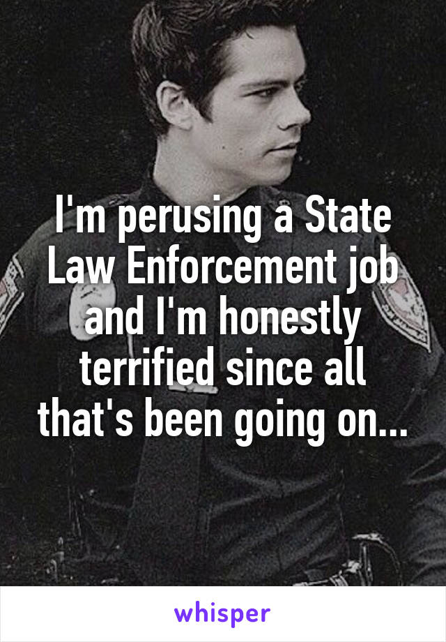 I'm perusing a State Law Enforcement job and I'm honestly terrified since all that's been going on...