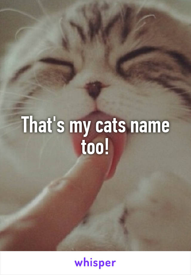 That's my cats name too!