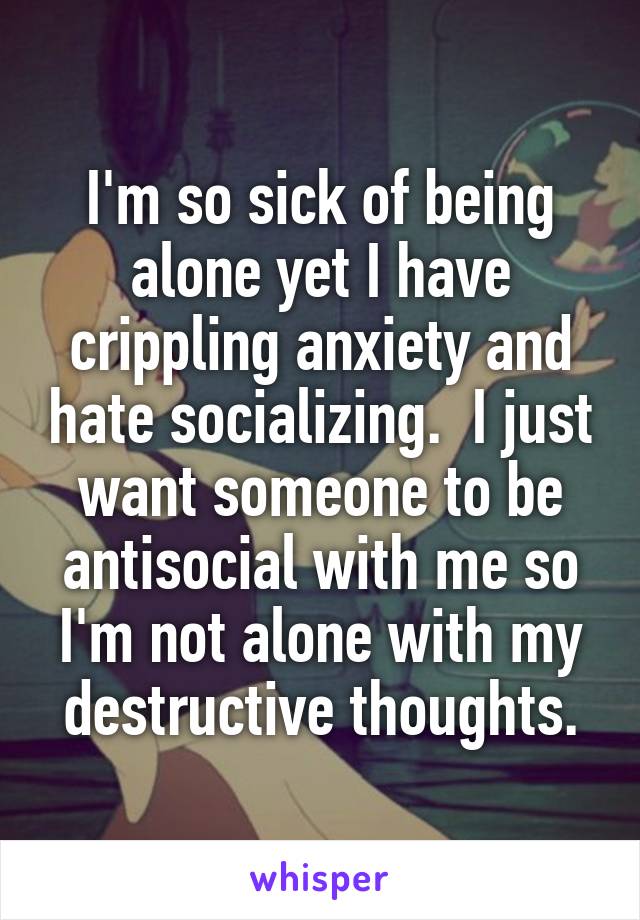 I'm so sick of being alone yet I have crippling anxiety and hate socializing.  I just want someone to be antisocial with me so I'm not alone with my destructive thoughts.