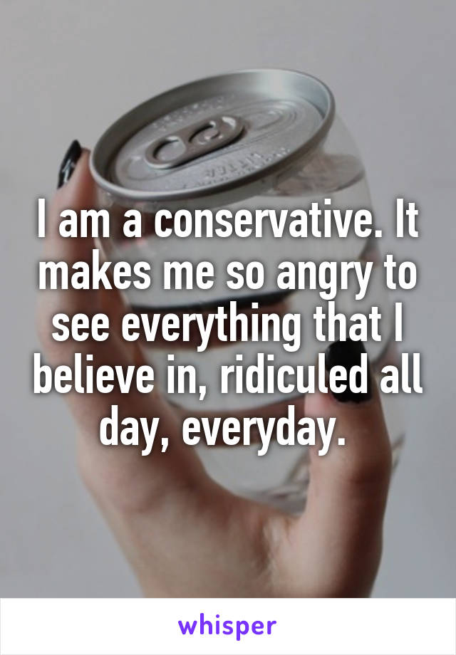 I am a conservative. It makes me so angry to see everything that I believe in, ridiculed all day, everyday. 