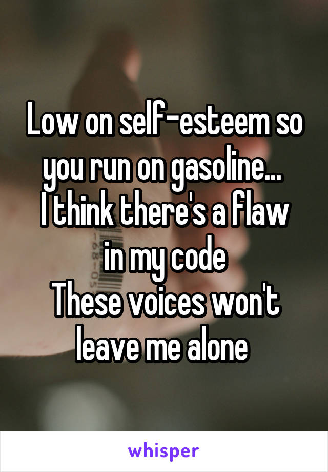 Low on self-esteem so you run on gasoline... 
I think there's a flaw in my code
These voices won't leave me alone 