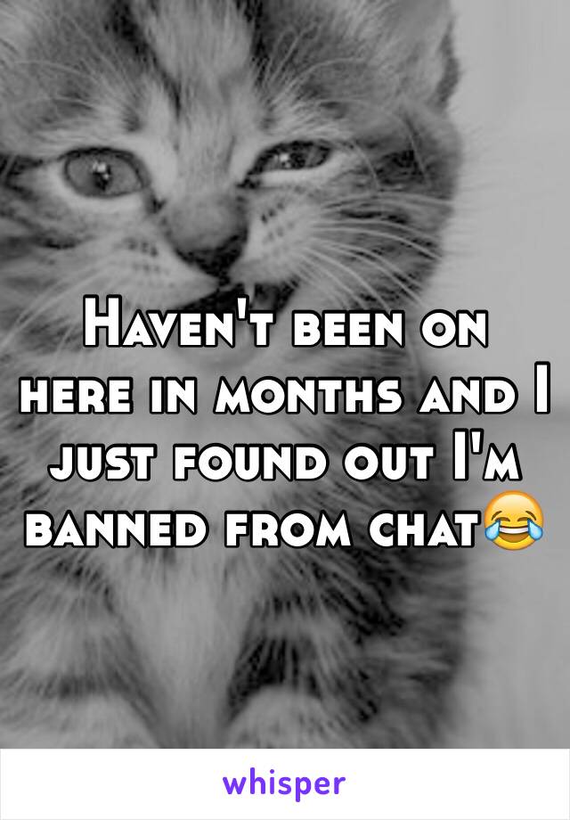 Haven't been on here in months and I just found out I'm banned from chat😂