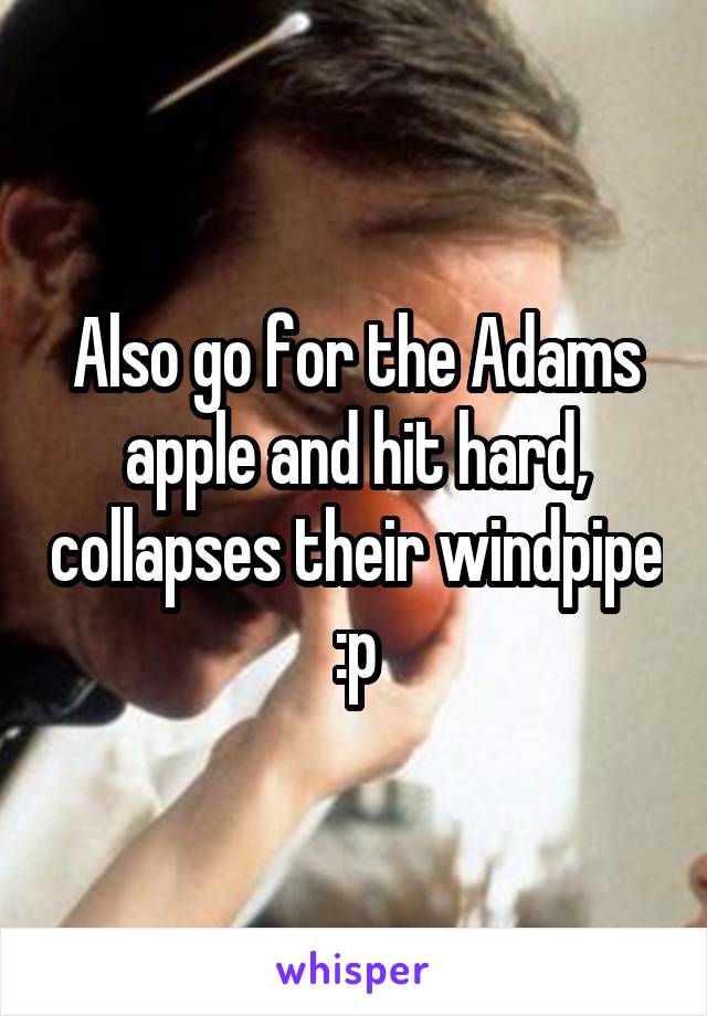 Also go for the Adams apple and hit hard, collapses their windpipe :p