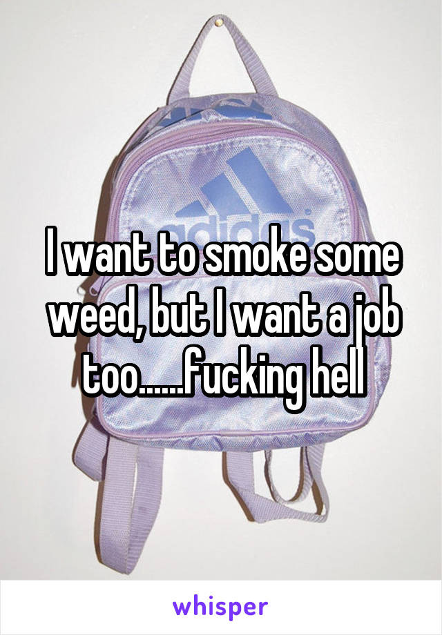 I want to smoke some weed, but I want a job too......fucking hell