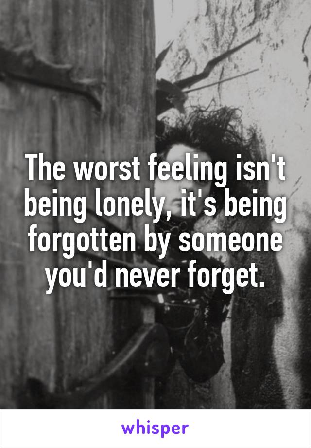 The worst feeling isn't being lonely, it's being forgotten by someone you'd never forget.