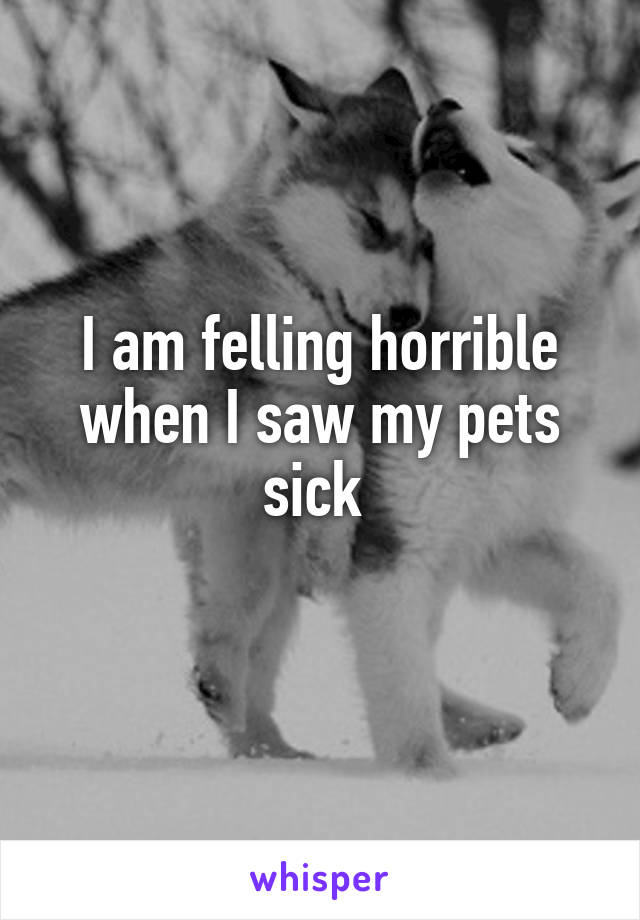 I am felling horrible when I saw my pets sick 
