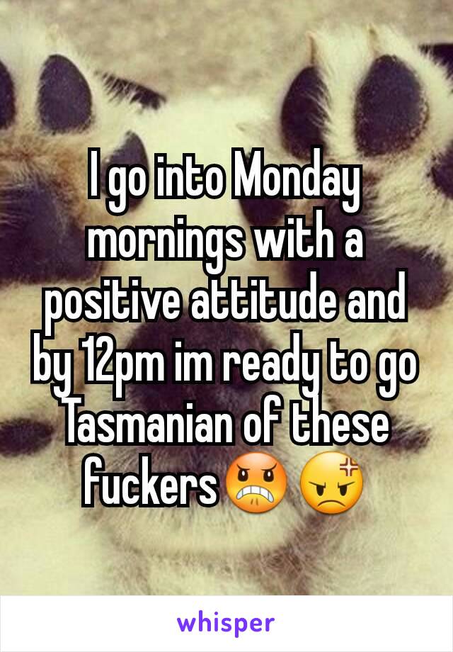 I go into Monday mornings with a positive attitude and by 12pm im ready to go Tasmanian of these fuckers😠😡