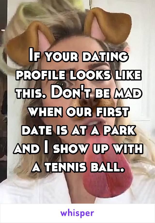 If your dating profile looks like this. Don't be mad when our first date is at a park and I show up with a tennis ball.