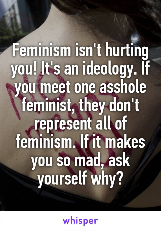 Feminism isn't hurting you! It's an ideology. If you meet one asshole feminist, they don't represent all of feminism. If it makes you so mad, ask yourself why?